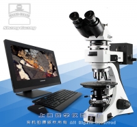 矿相显微镜(图像型)59XD-PC