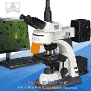 落射荧光显微镜(图像型)XSP-63...