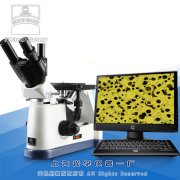 倒置金相显微镜(图像型)5XB-PC