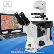 相衬生物显微镜(倒置)37XZ-PC